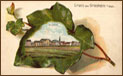 Gruss aus Griesheim — коллекция открыток города Грисхайм
